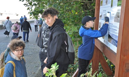 Image description